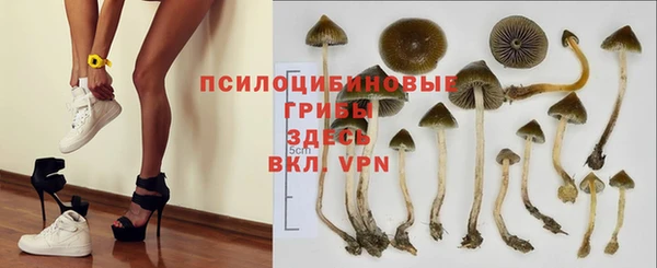 дурь Аркадак