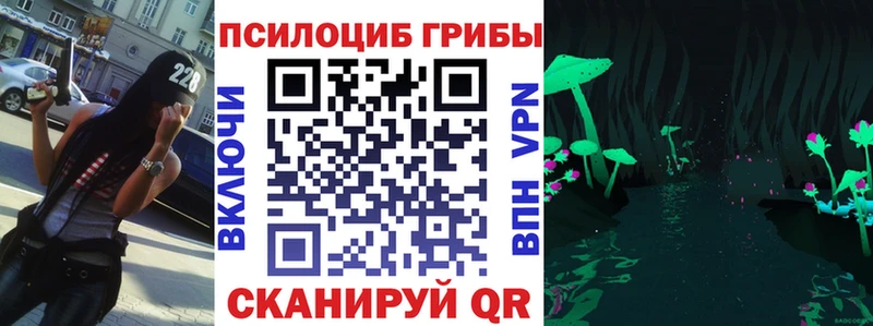 купить закладку  это клад  Галлюциногенные грибы MAGIC MUSHROOMS  Бабаево 